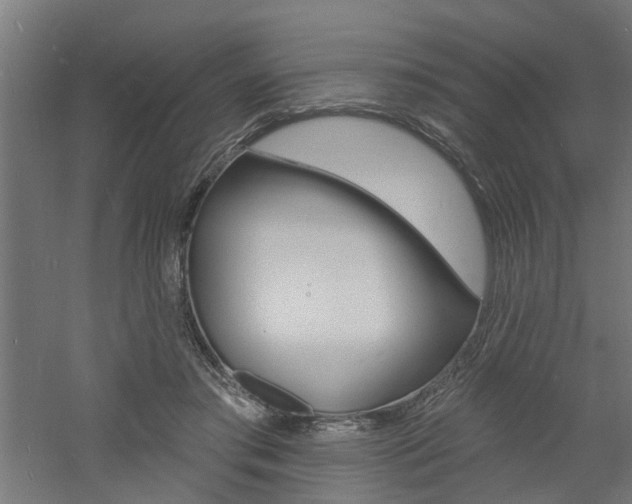 X0000060740405200511100917