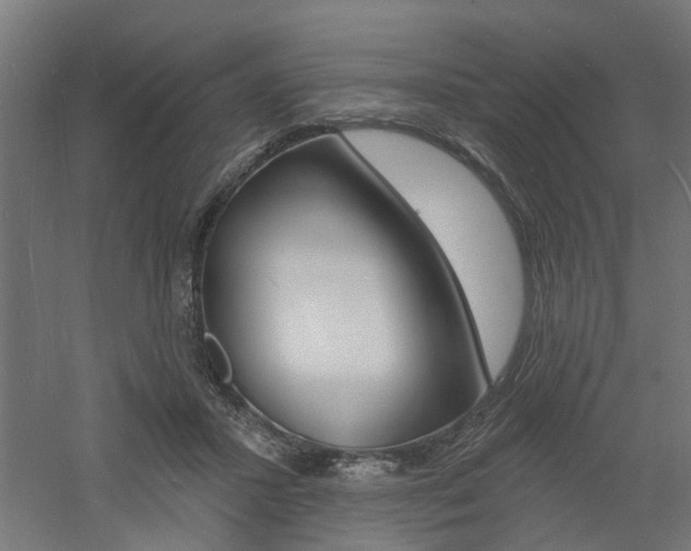 X0000060740407200511100917