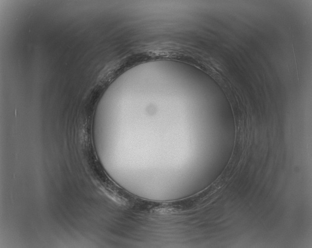 X0000060740408200511100917