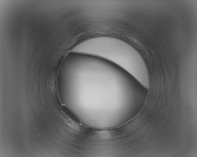 X0000060740409200511100917