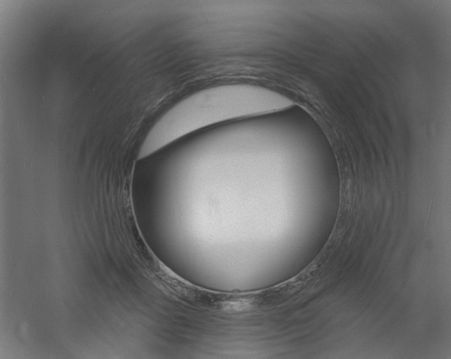 X0000060740411200511100917