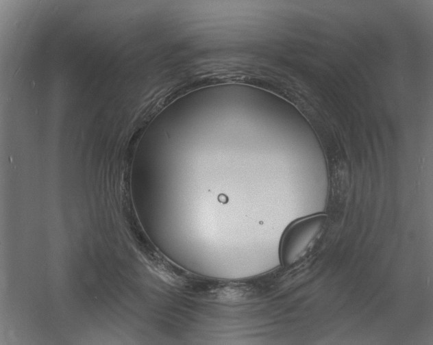 X0000060740412200511100917