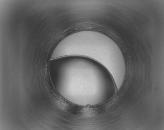 X0000060740413200511100917