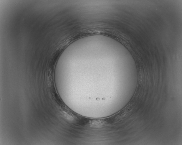 X0000060740414200511100917