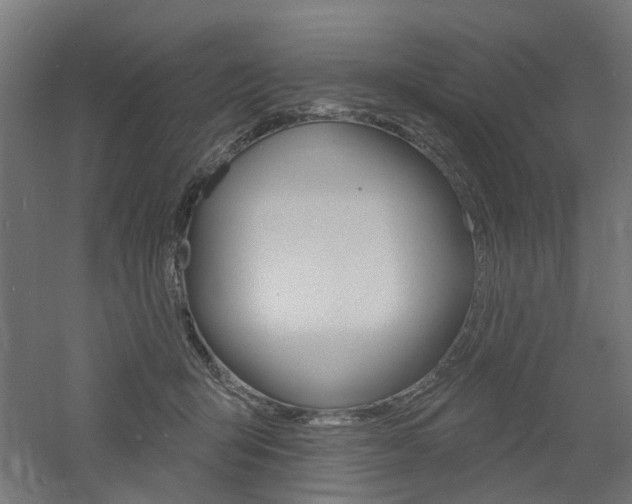 X0000060740415200511100917