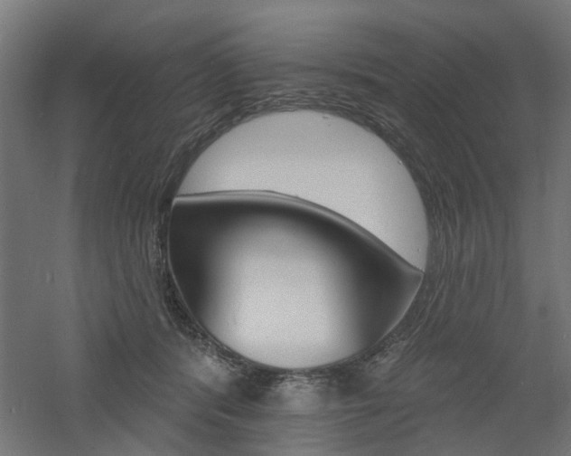 X0000060740416200511100917