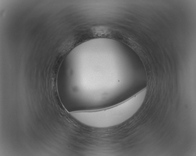 X0000060740417200511100917