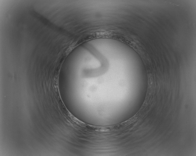 X0000060740419200511100917