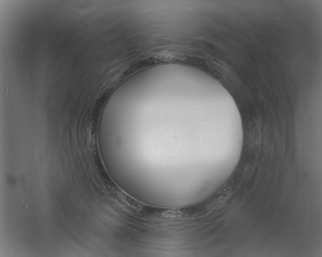 X0000060740420200511100917