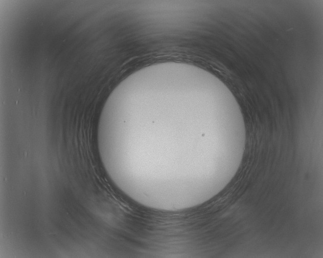 X0000060740421200511100917