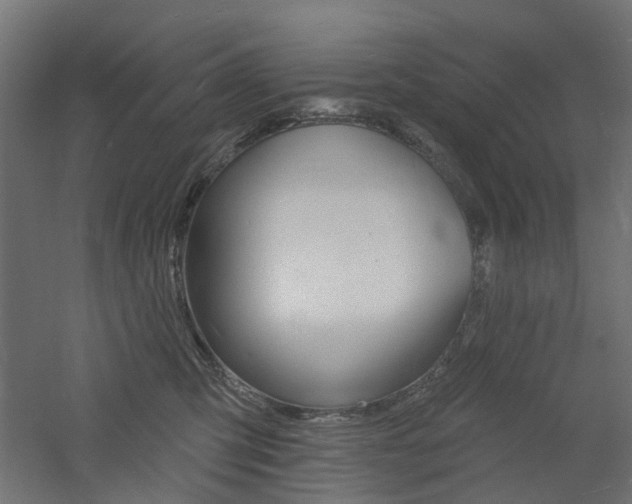 X0000060740423200511100917