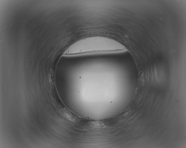 X0000060740424200511100917