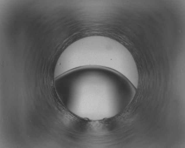 X0000060740425200511100917