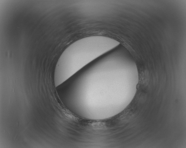 X0000060740426200511100917