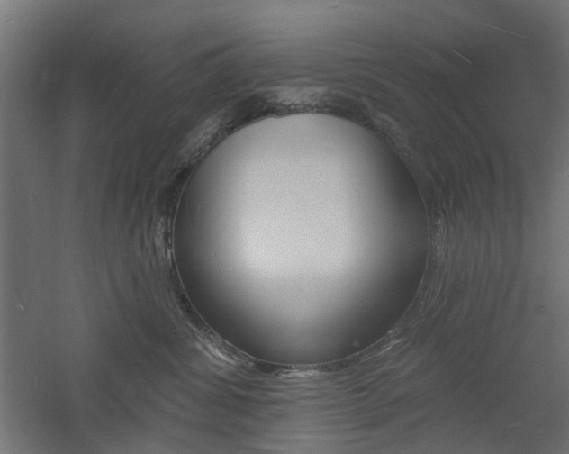 X0000060740428200511100916