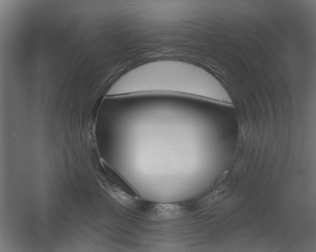 X0000060740429200511100916