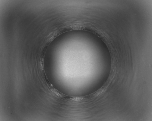 X0000060740432200511100916