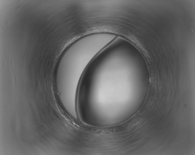 X0000060740434200511100916