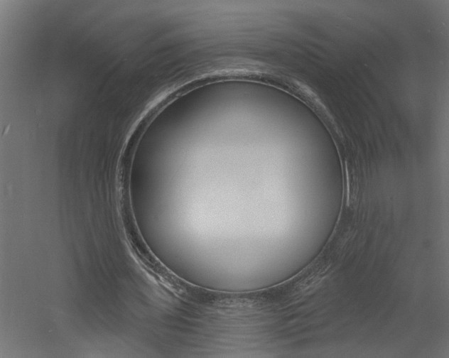 X0000060740435200511100916