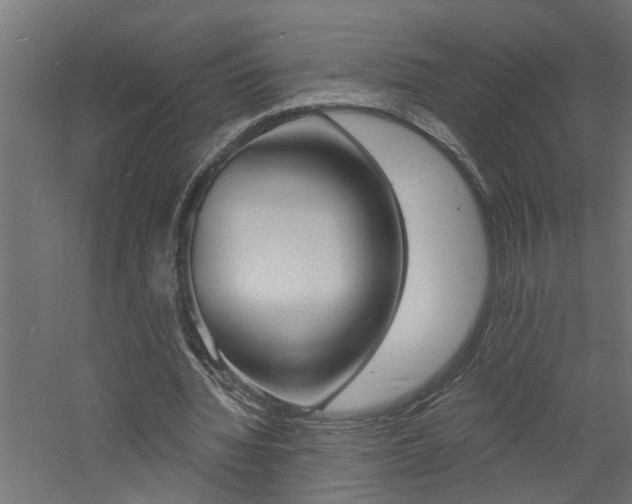 X0000060740436200511100916