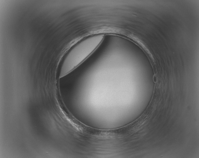 X0000060740437200511100916