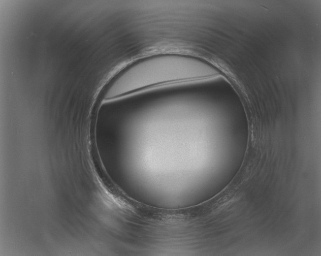 X0000060740438200511100916
