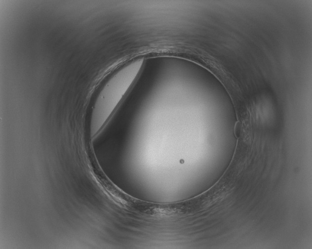 X0000060740442200511100916