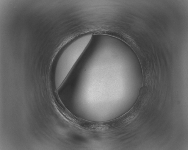 X0000060740443200511100916