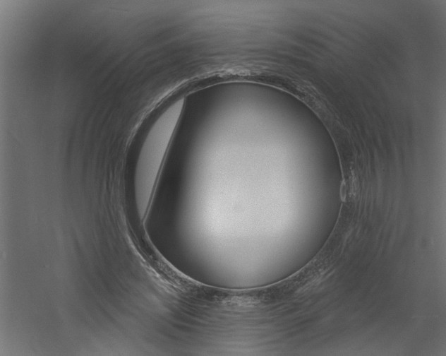 X0000060740444200511100916