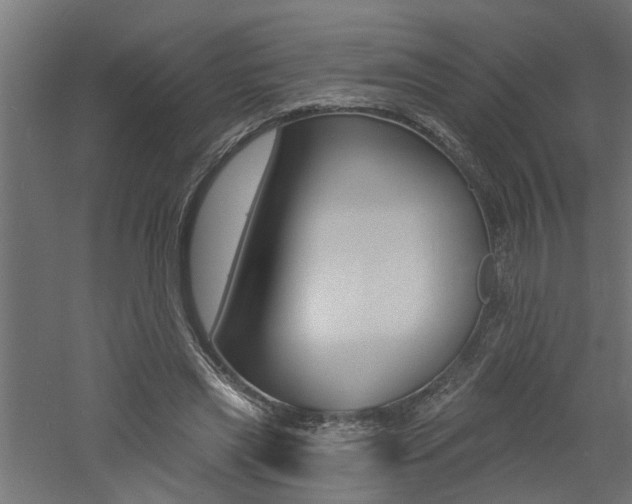 X0000060740445200511100916