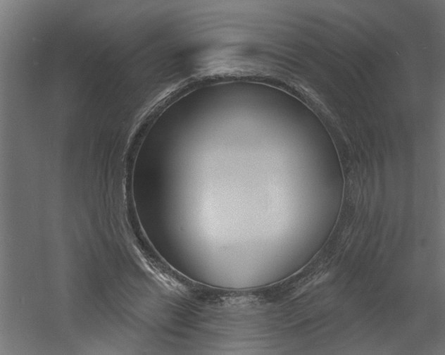X0000060740446200511100916
