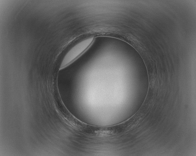 X0000060740448200511100916
