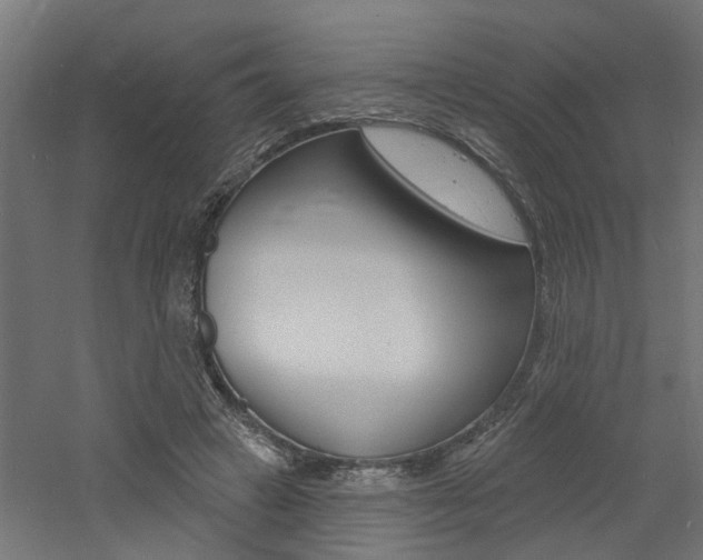 X0000060740449200511100916