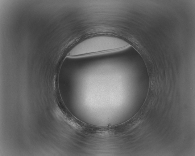 X0000060740454200511100916