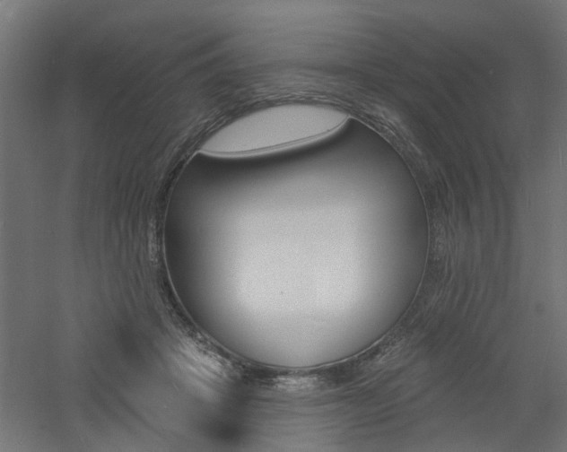 X0000060740457200511100916