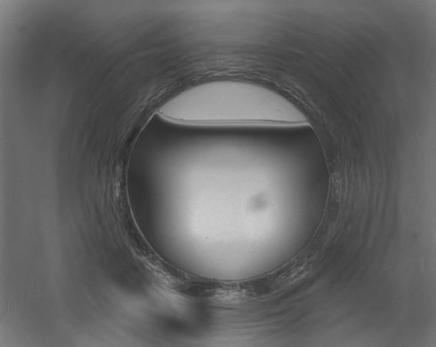 X0000060740458200511100916