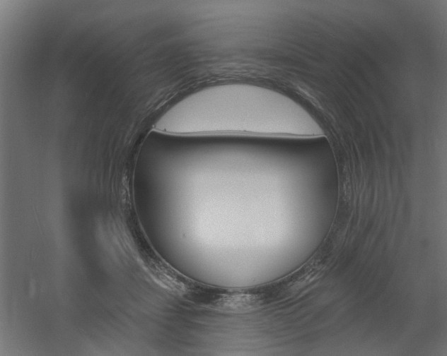 X0000060740459200511100916