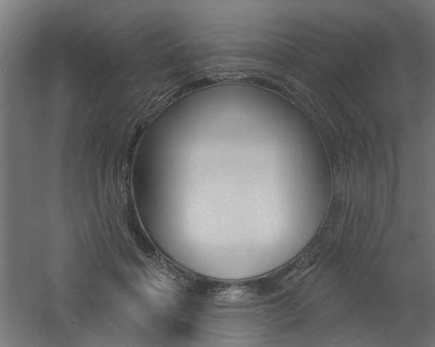 X0000060740460200511100916