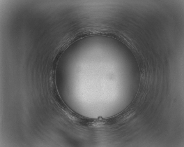 X0000060740462200511100916