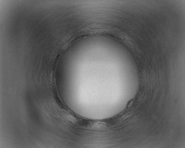 X0000060740463200511100916