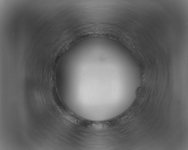 X0000060740464200511100916