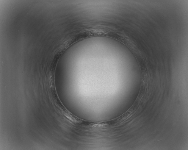 X0000060740465200511100916