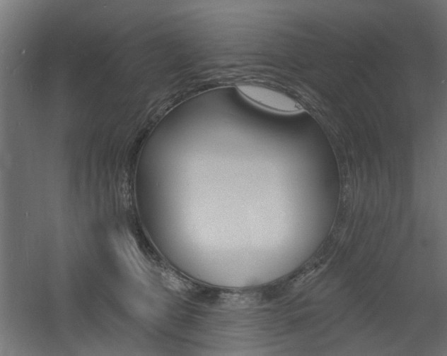 X0000060740469200511100916