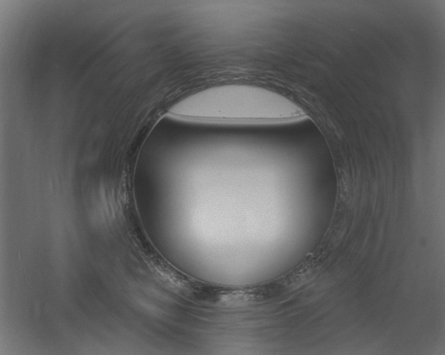 X0000060740470200511100916
