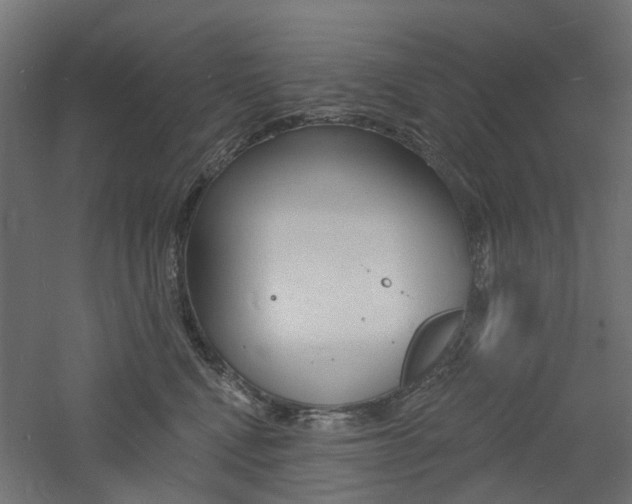 X0000060740472200511100916