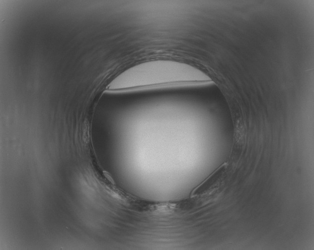 X0000060740474200511100916