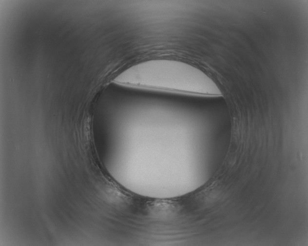 X0000060740475200511100916
