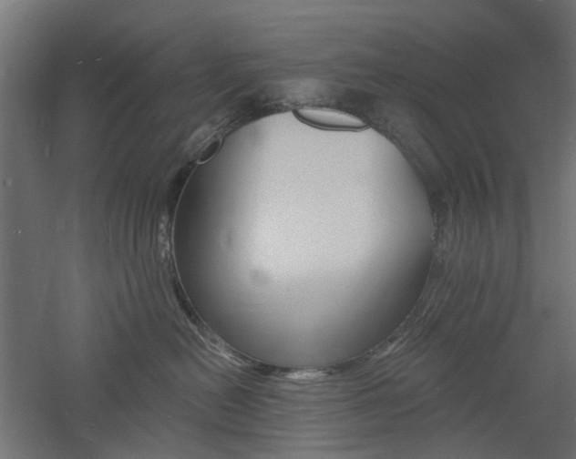 X0000060740478200511100916