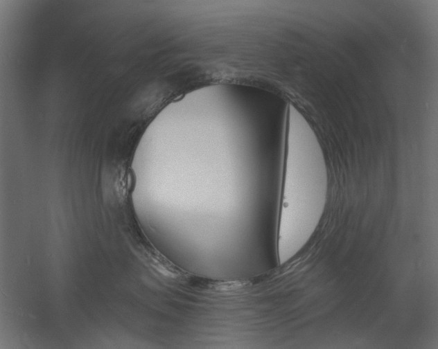 X0000060740479200511100916