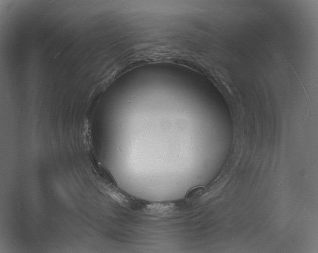 X0000060740480200511100916